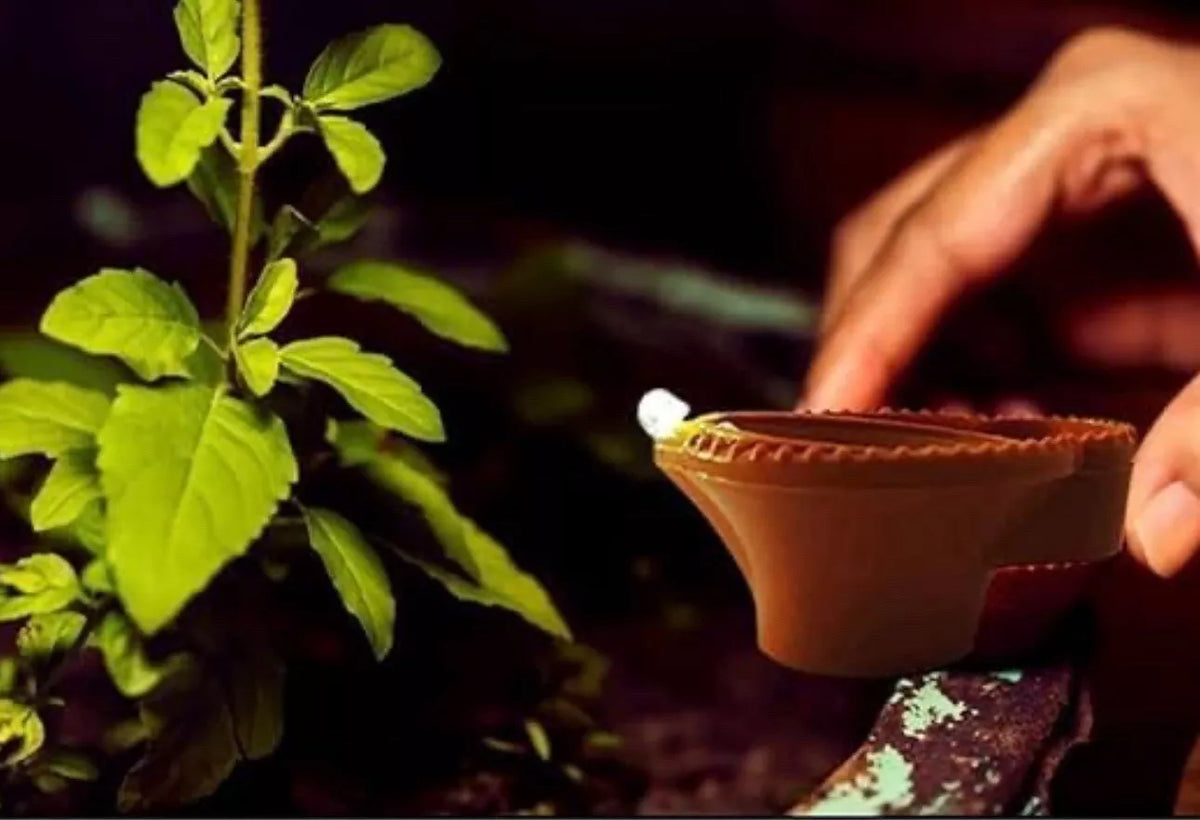 12 Water Sensor Diyas for Decoration | Kids & Pets Friendly